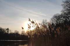 IMG-20230127-WA0062